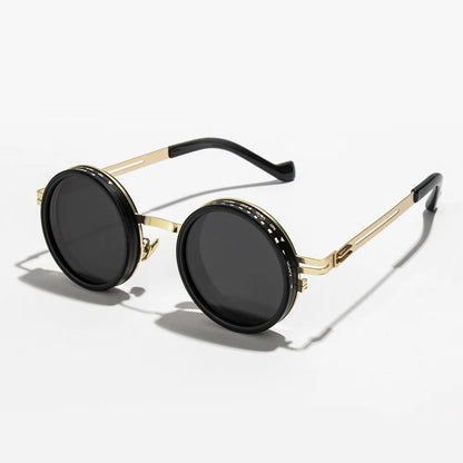 ND2-400 Adjustable Round Dimming Polarized Glasses